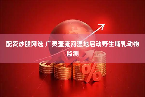 配资炒股网选 广灵壶流河湿地启动野生哺乳动物监测