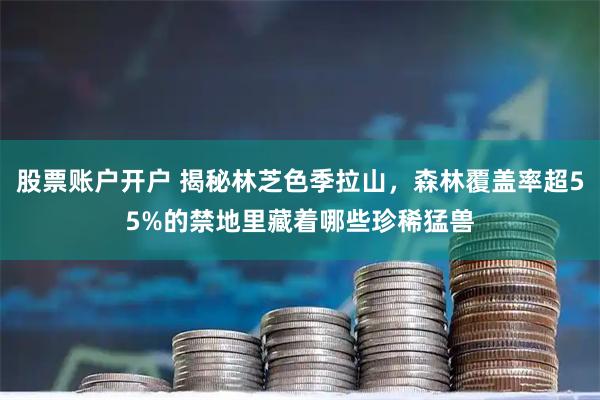 股票账户开户 揭秘林芝色季拉山，森林覆盖率超55%的禁地里藏着哪些珍稀猛兽
