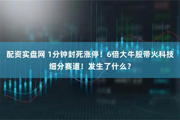 配资实盘网 1分钟封死涨停!6倍大牛股带火科技细分赛道!发生了什么?